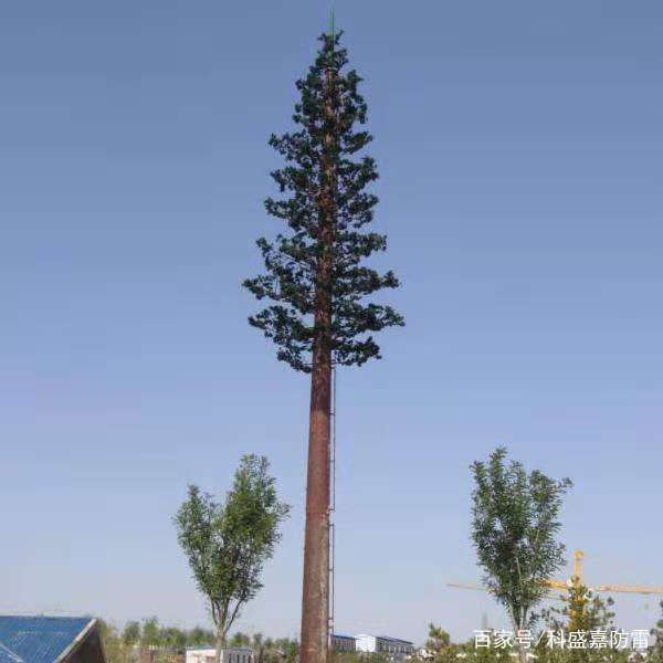 1568077286164719.jpeg 1547430921.jpeg